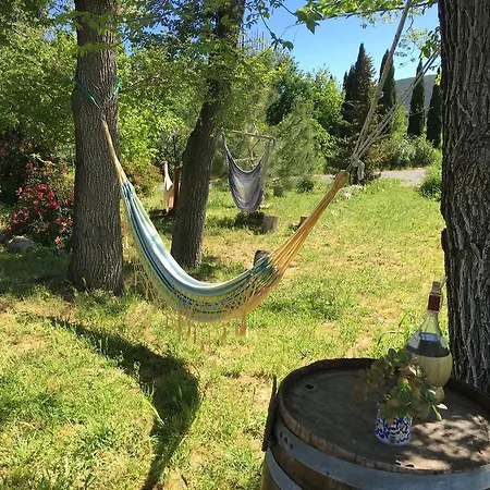 Il Canneto Di Pomaia