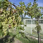 Alloggio per agriturismo Il Canneto Di *