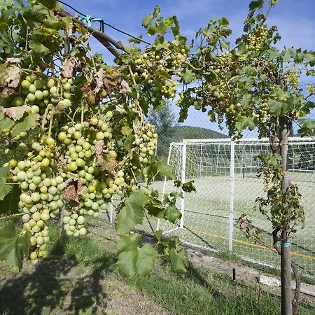 Farm stay Il Canneto Di *